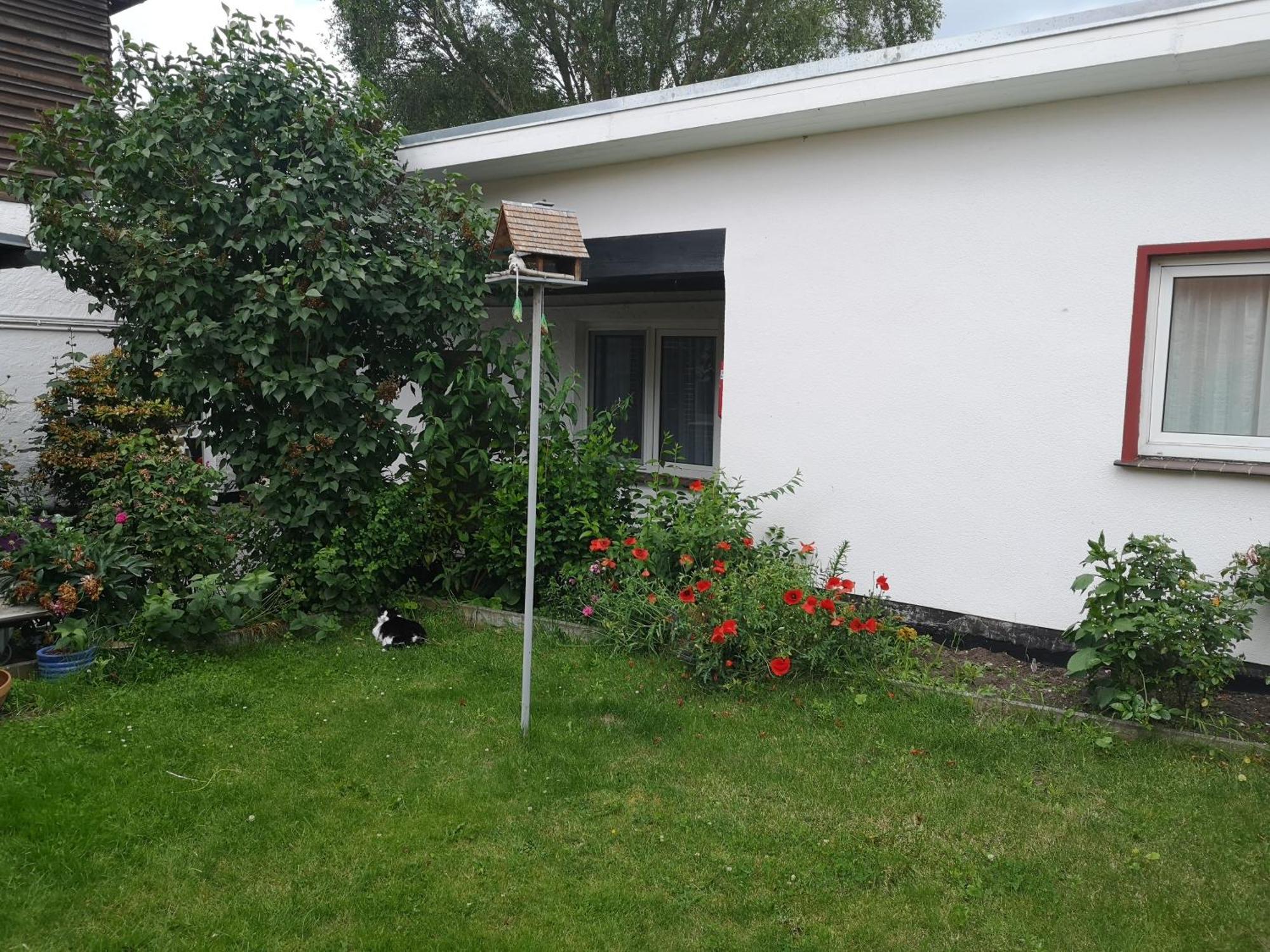 Uschi'S Gasthof Neuendorf  Exterior photo